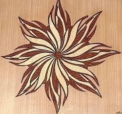 Star panel