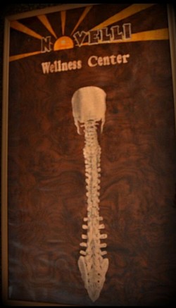 Spine